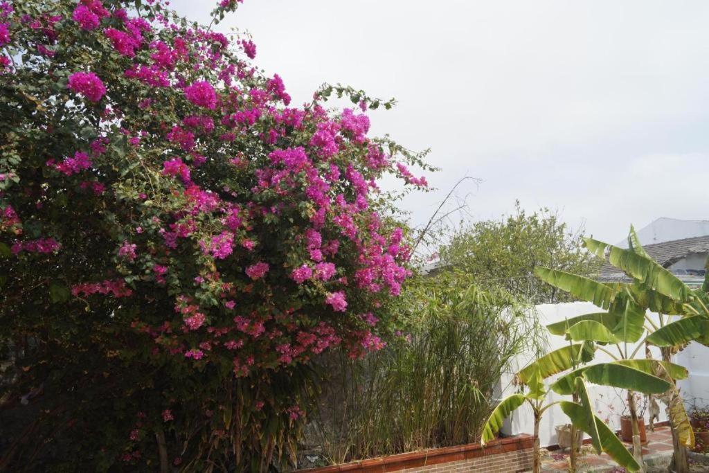 Hotel Mar Di Plata Barranquilla  Eksteriør billede